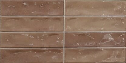 RÉTRO MARRON Carrelage mural Faïence Mosaïque 30x60 cm