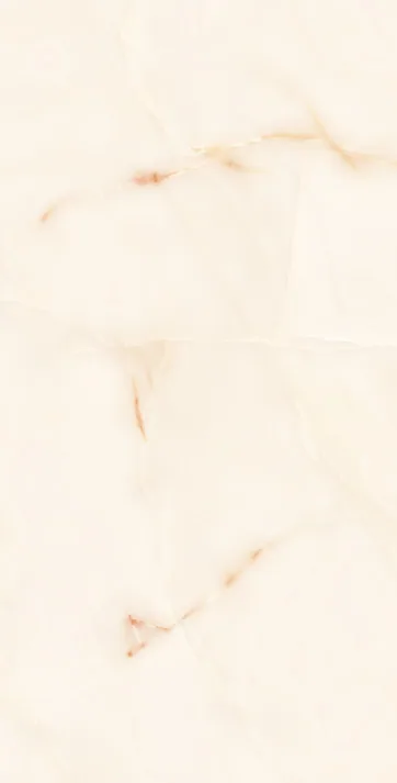PRESTIGIO Revêtement Inspiration Marbre 60x120 cm
