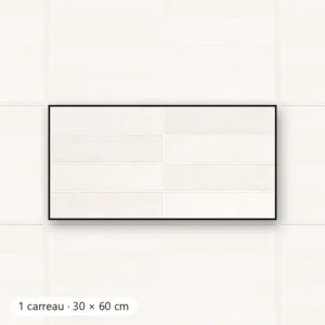 RÉTRO BLANC Carrelage mural Faïence Mosaïque 30x60 cm