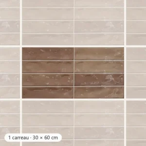 RÉTRO MARRON Carrelage mural Faïence Mosaïque 30x60 cm