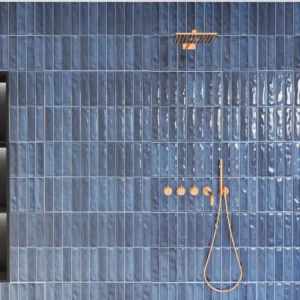 RÉTRO OCÉAN Carrelage mural Faïence Mosaïque 30×60 cm