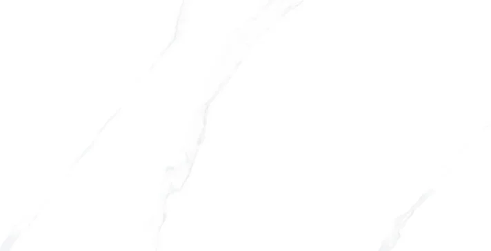 CARRARE Revêtement Inspiration Marbre 60×120 cm
